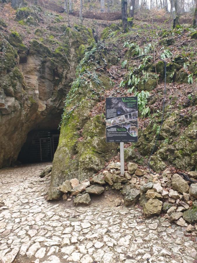 Vila Dionysos Brasov Ghimbav Ngoại thất bức ảnh