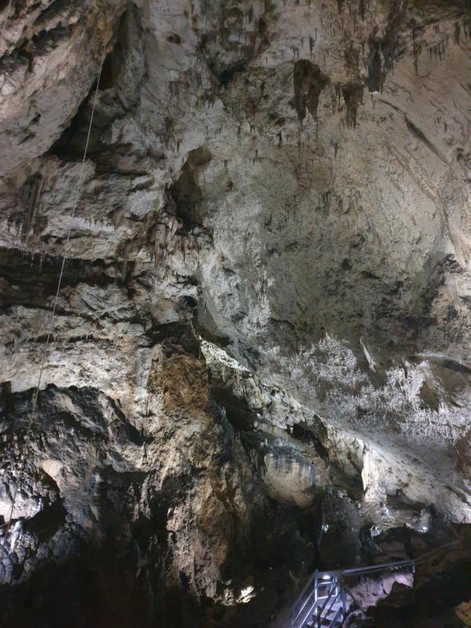 Vila Dionysos Brasov Ghimbav Ngoại thất bức ảnh